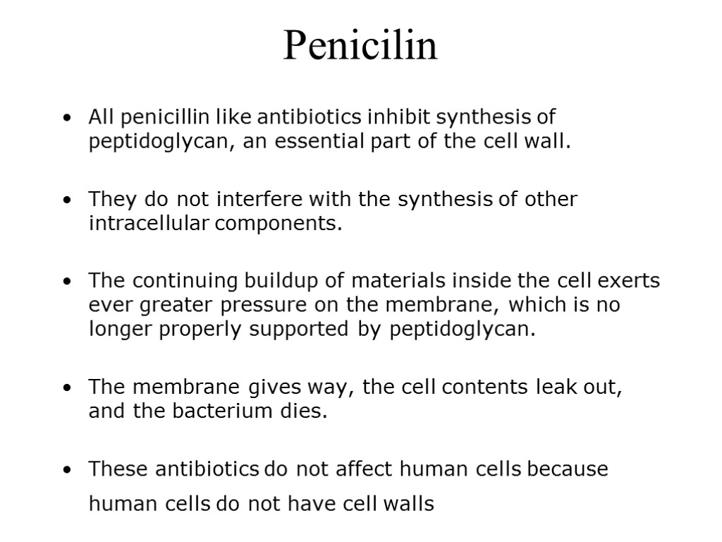 Penicilin All penicillin like antibiotics inhibit synthesis of peptidoglycan, an essential part of the